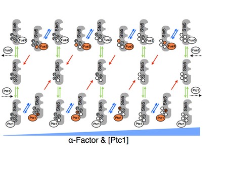 fig4A.001